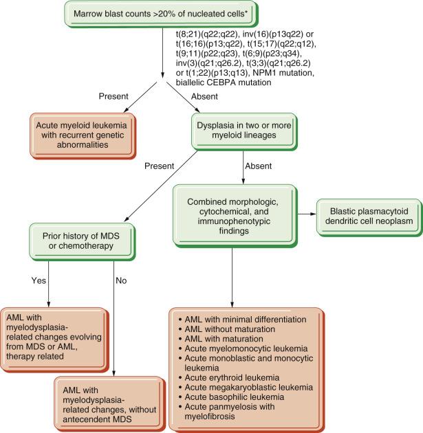 FIG. 22.18, Algorithm for diagnosing acute myeloid leukemia using the World Health Organization criteria. *Blast counts may be less than 20% if a recurrent cytogenetic abnormality is present.