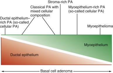 FIG. 7.22, The continuum in the pleomorphic adenoma (PA)–basal cell adenoma–myoepithelioma family. The relative proportions of ductal epithelial and myoepithelial cells, as well as the interaction with the stroma, will determine into which category the tumor falls.