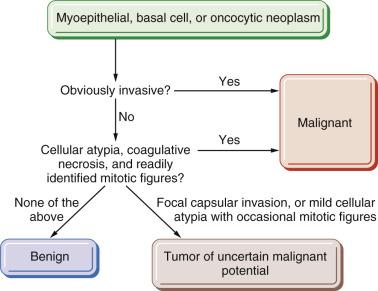 FIG. 7.46, Practical approach to assessment of the malignant potential of myoepithelial, basal cell, and oncocytic neoplasms of the salivary gland.