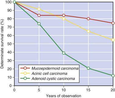 FIG. 7.6, Survival curves of patients with mucoepidermoid, acinic cell, and adenoid cystic carcinoma of the salivary gland. Note the plateau in the survival curve for mucoepidermoid carcinoma and poor long-term outcome for adenoid cystic carcinoma.