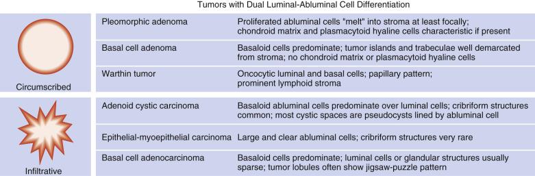 FIG. 7.7, Schematic diagram showing features helpful in differential diagnosis of salivary gland tumors with dual luminal-abluminal cell differentiation.