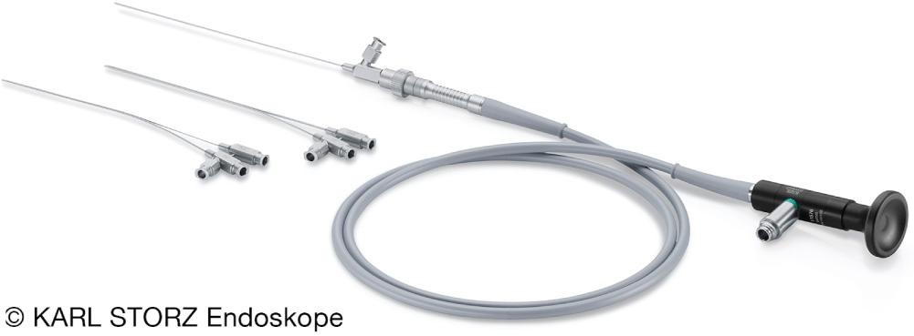 Fig. 14.1.1, Marchal modular sialendoscope. Interventional sheaths and semi-rigid optic fibers (exist in two sizes: 0.75 and 1 mm).