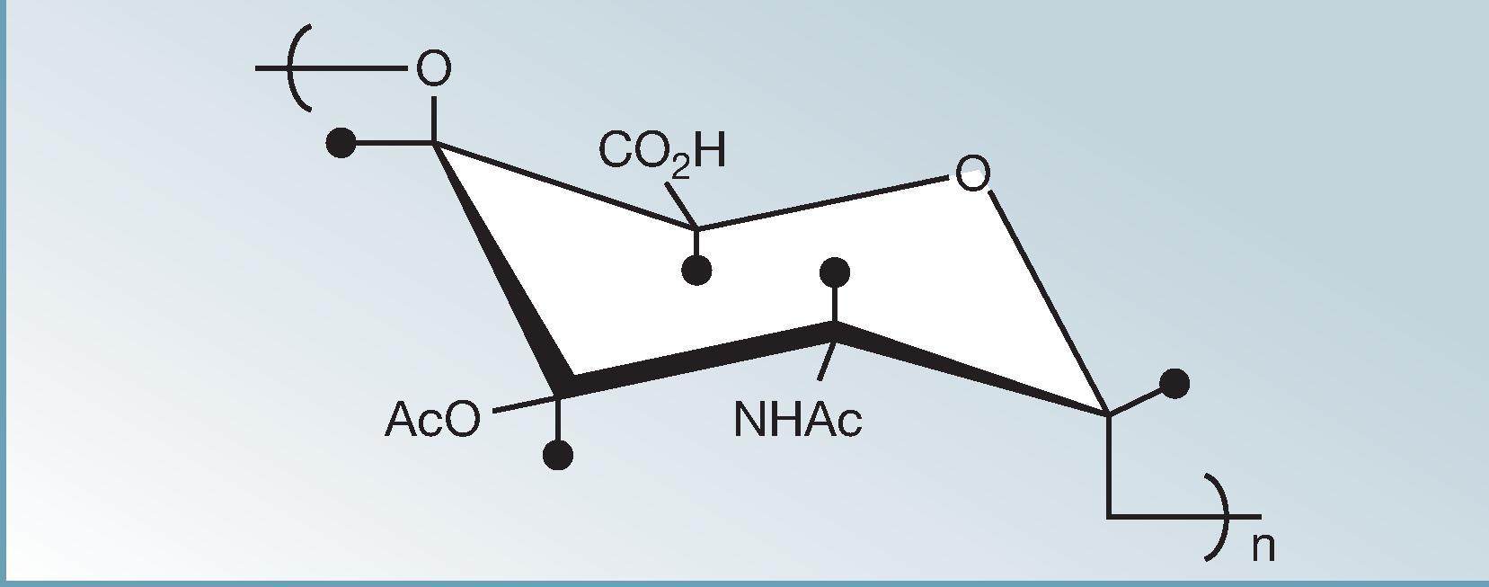 Fig. 62.2, Chemical composition of Vi polysaccharide, which is a homopolymer of (1→4)- α-D -GalpANA, which is variably acetylated at carbon 3.