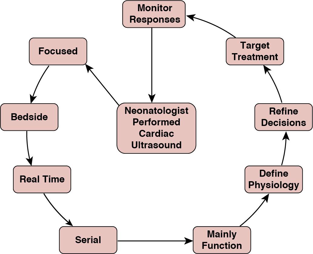 Fig. 9.1, Diagrammatic representation of the process of use of CPU, diagnosing physiology, integrating into the clinical decision-making, and obtaining longitudinal feedback to validate treatment decisions made.