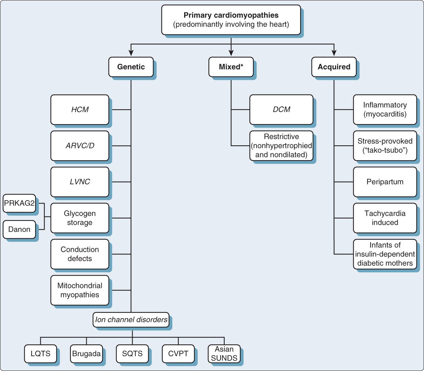 Fig. 18.4, American Heart Association classification of primary cardiomyopathies. Predominantly nongenetic causes, although rare cases of primary cardiomyopathy with a genetic origin, have been reported (see text for details). ARVC/D, Arrhythmogenic right ventricular cardiomyopathy/dysplasia; CVPT, catecholaminergic polymorphic ventricular tachycardia; DCM, dilated cardiomyopathy; HCM, hypertrophic cardiomyopathy; LQTS, long QT syndrome; LVNC, left ventricular noncompaction; PRKAG2, adenosine monophosphate–activated protein kinase, subunit gamma-2; SQTS, short QT syndrome; SUNDS, sudden unexplained nocturnal death.