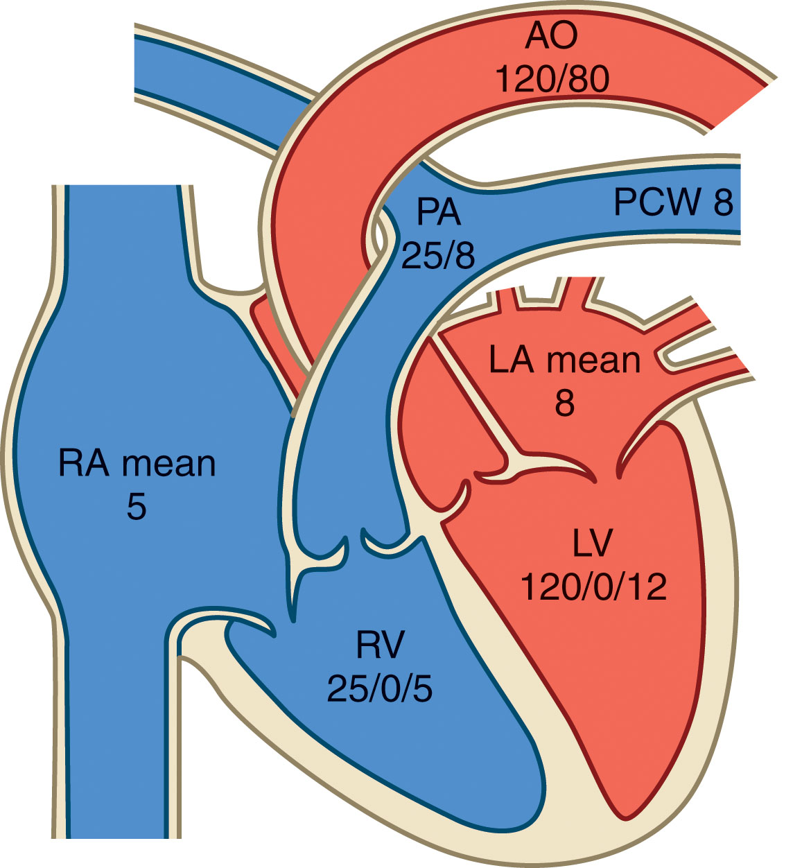 Fig. 31.2, Normal pressures in the cardiac chambers and great vessels.