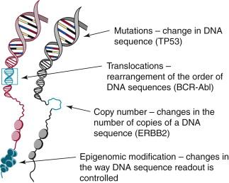 Figure 24-1, Schematic illustrations of the types of genome aberrations found in human cancers. 18