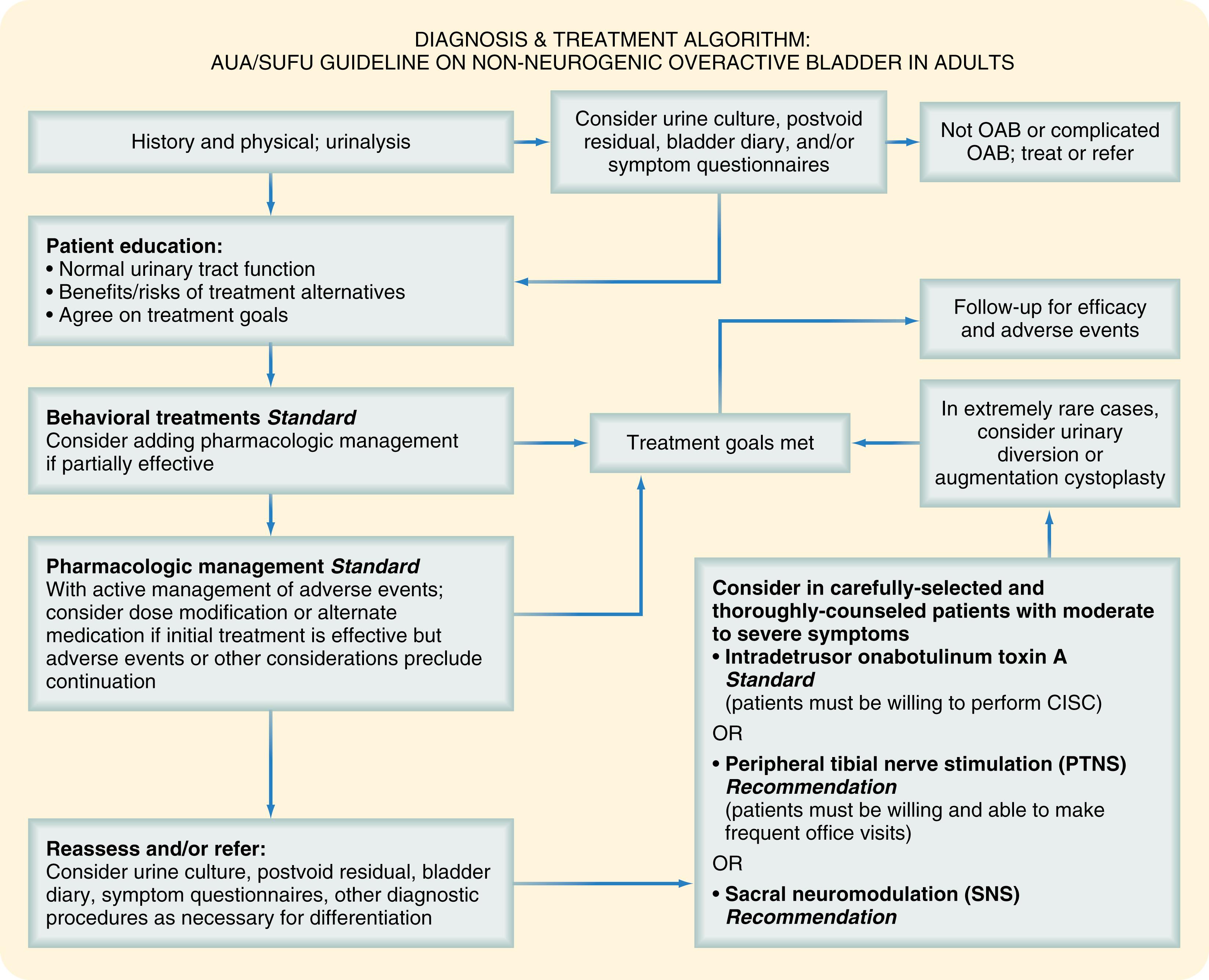 Fig. 74.3, Algorithm for diagnosis and management of overactive bladder (OAB).