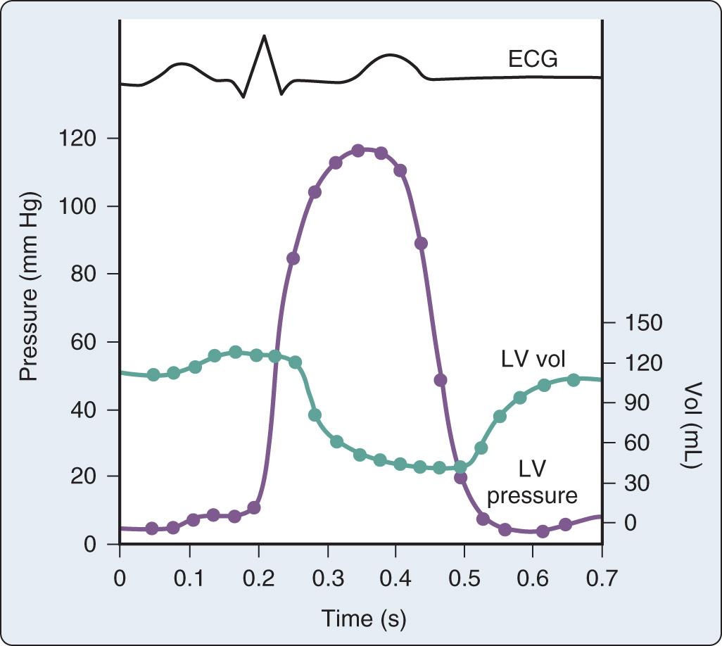 Fig. 15.1, Simultaneous left ventricular (LV) volume and pressure during one cardiac cycle. ECG, Electrocardiogram.