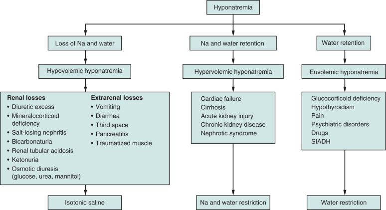 FIGURE 62.2, Algorithm of diagnosis and treatment of hyponatremia.
