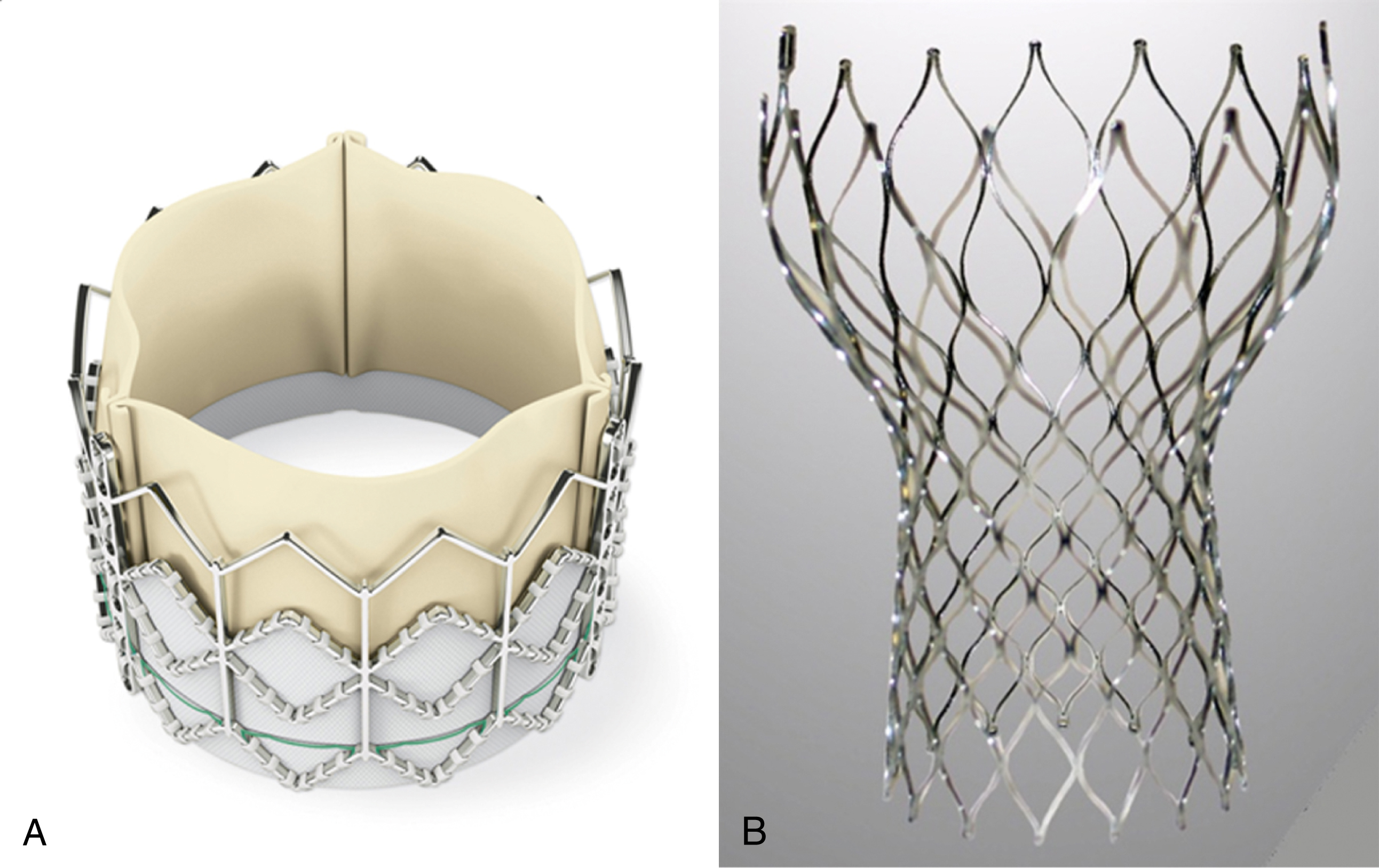 Fig.e50.1, (A) Edwards SAPIEN valve. (B) Medtronic CoreValve.