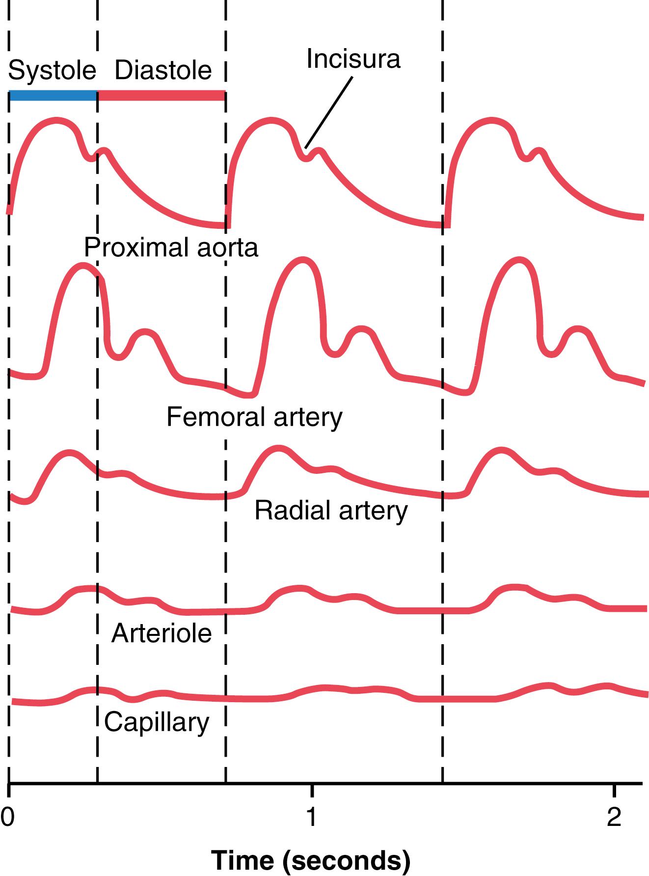 Figure 15-6, Changes in the pulse pressure contour as the pulse wave travels toward the smaller vessels.