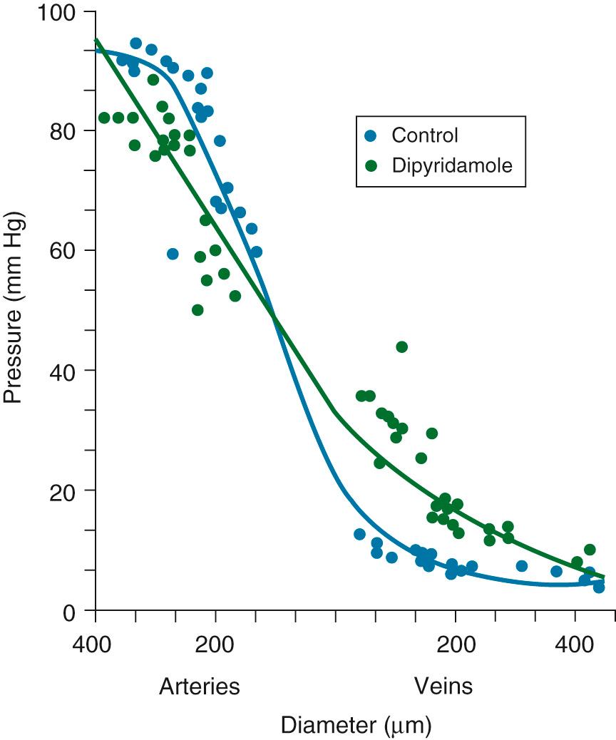 FIGURE 48-2, Intravascular pressures in the coronary microcirculation under basal conditions and during vasodilation with dipyridamole. The distribution of vascular resistance is not static. Instead, the size of the vessels regulating vascular tone depends on the tone of the vasculature.