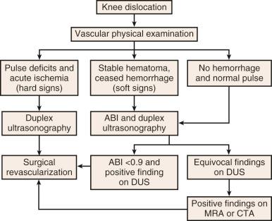 Fig. 109.4, Algorithm to determine the extent of vascular pathology associated with knee dislocations.