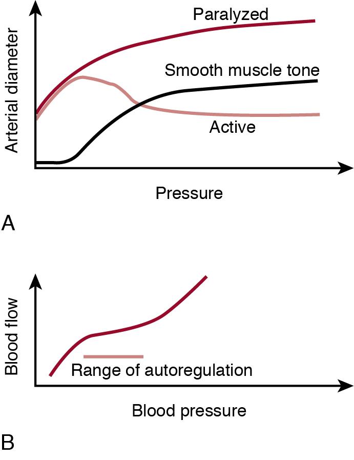 Fig. 2.3, Increases in pressure lead to progressive dilatation of a paralyzed artery.