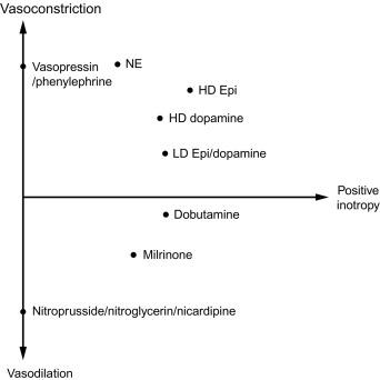 Fig. 19.2, Physiological response to vasoactive agents. Epi , Epinephrine; HD , high dose; LD , low dose; NE , norepinephrine.