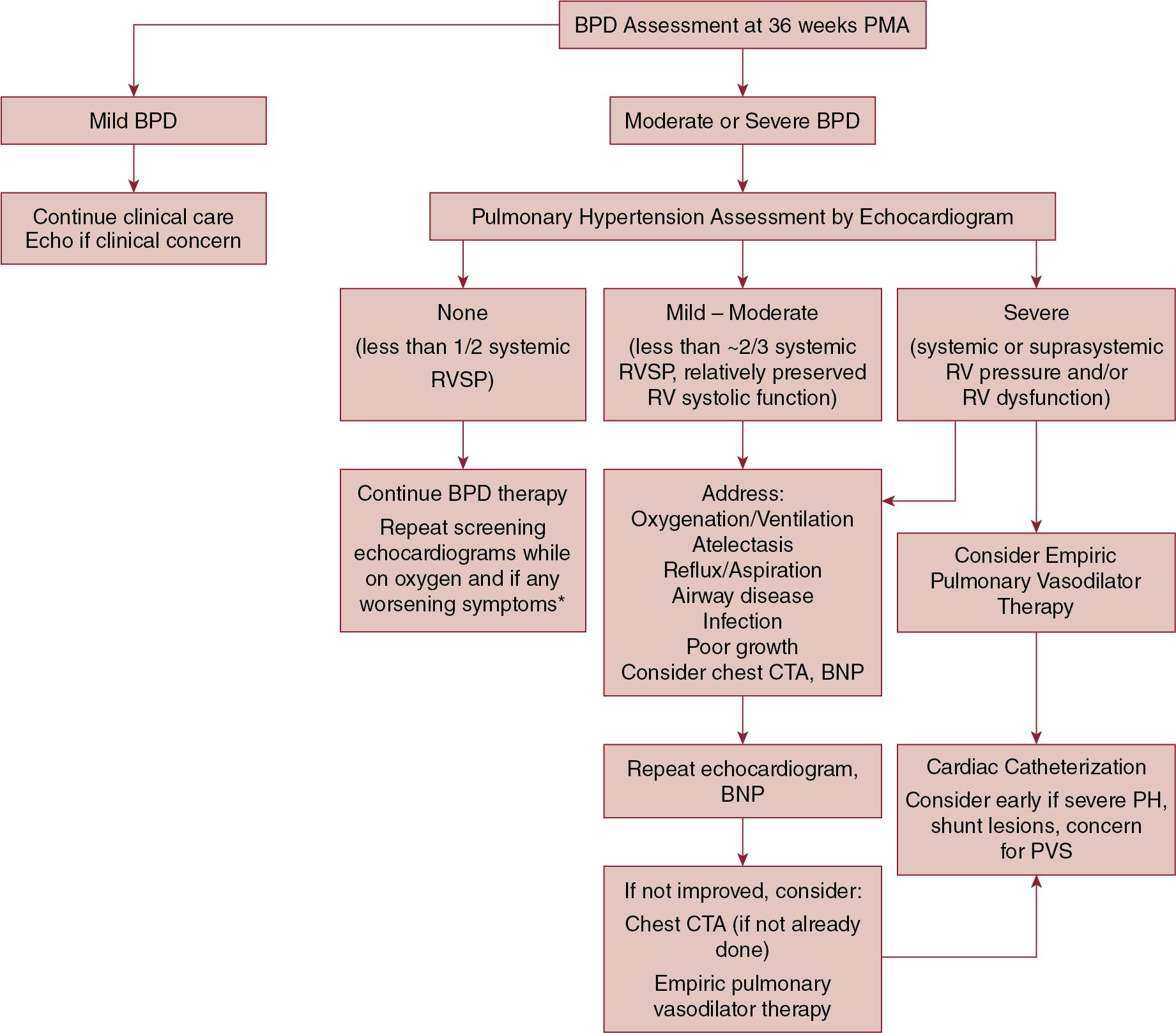 Fig. 16.1, A suggested echocardiographic screening and management protocol for bronchopulmonary dysplasia-associated pulmonary hypertension. Screening echocardiogram is recommended at 36 weeks postmenstrual age for premature infants born at less than 32 weeks postmenstrual age with moderate or severe BPD. The protocol outlines the next management steps, particularly in infants found to have PH, including additional work-up and when to consider PH-targeted pharmacotherapy. *The timing of screening echocardiograms is determined by individual patient risk factors and clinical concern. BNP, brain natriuretic peptide; BPD, bronchopulmonary dysplasia; CTA, chest computed tomography angiography; PMA, postmenstrual age; PH, pulmonary hypertension; PVS, pulmonary vein stenosis; RV, right ventricle; RVSP, right ventricle systolic pressure.