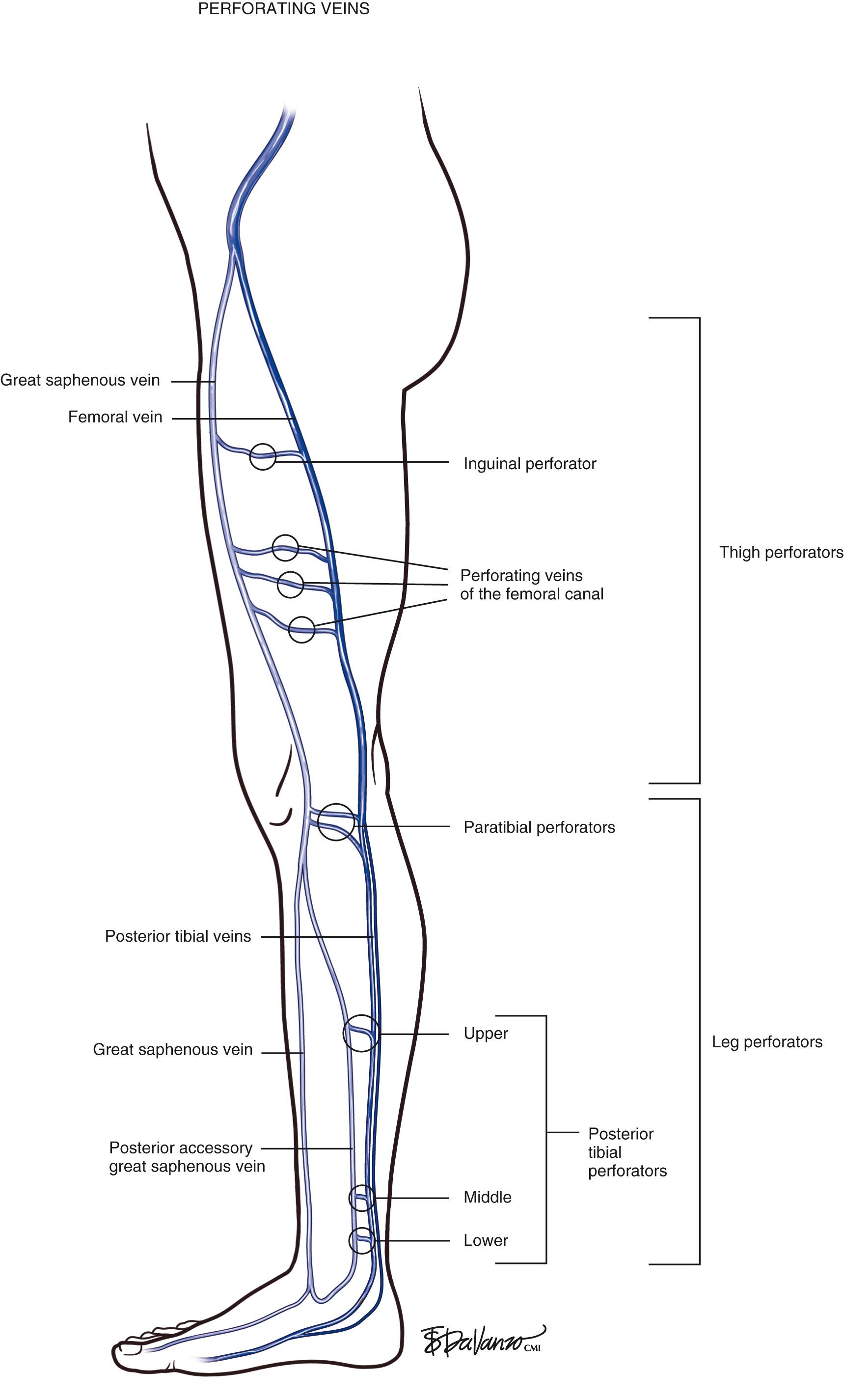 Fig. 1.6