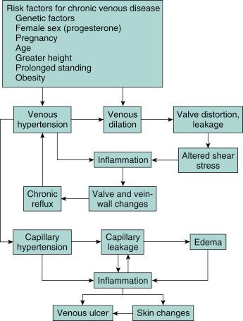 Fig. 45.2, Venous hypertension as the hypothetical cause of the clinical manifestations of chronic venous disease, emphasizing the importance of inflammation.