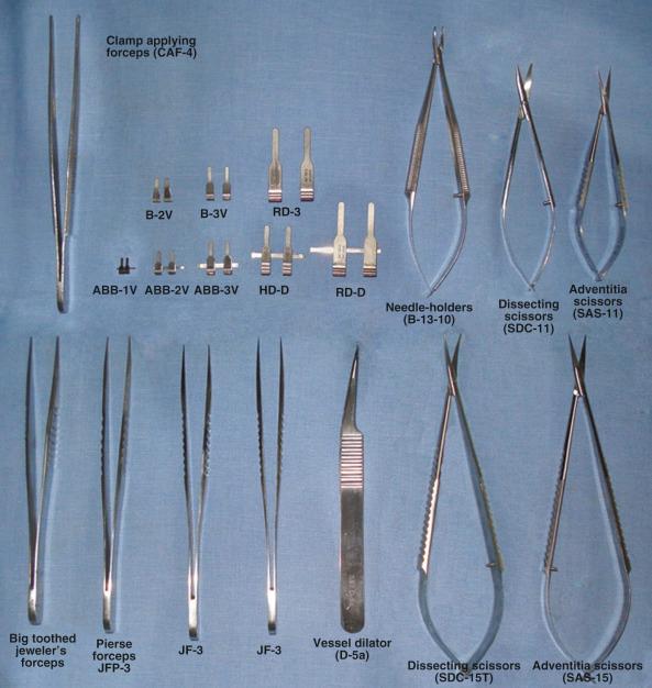 Figure 25.1, A selection of microsurgical instruments.