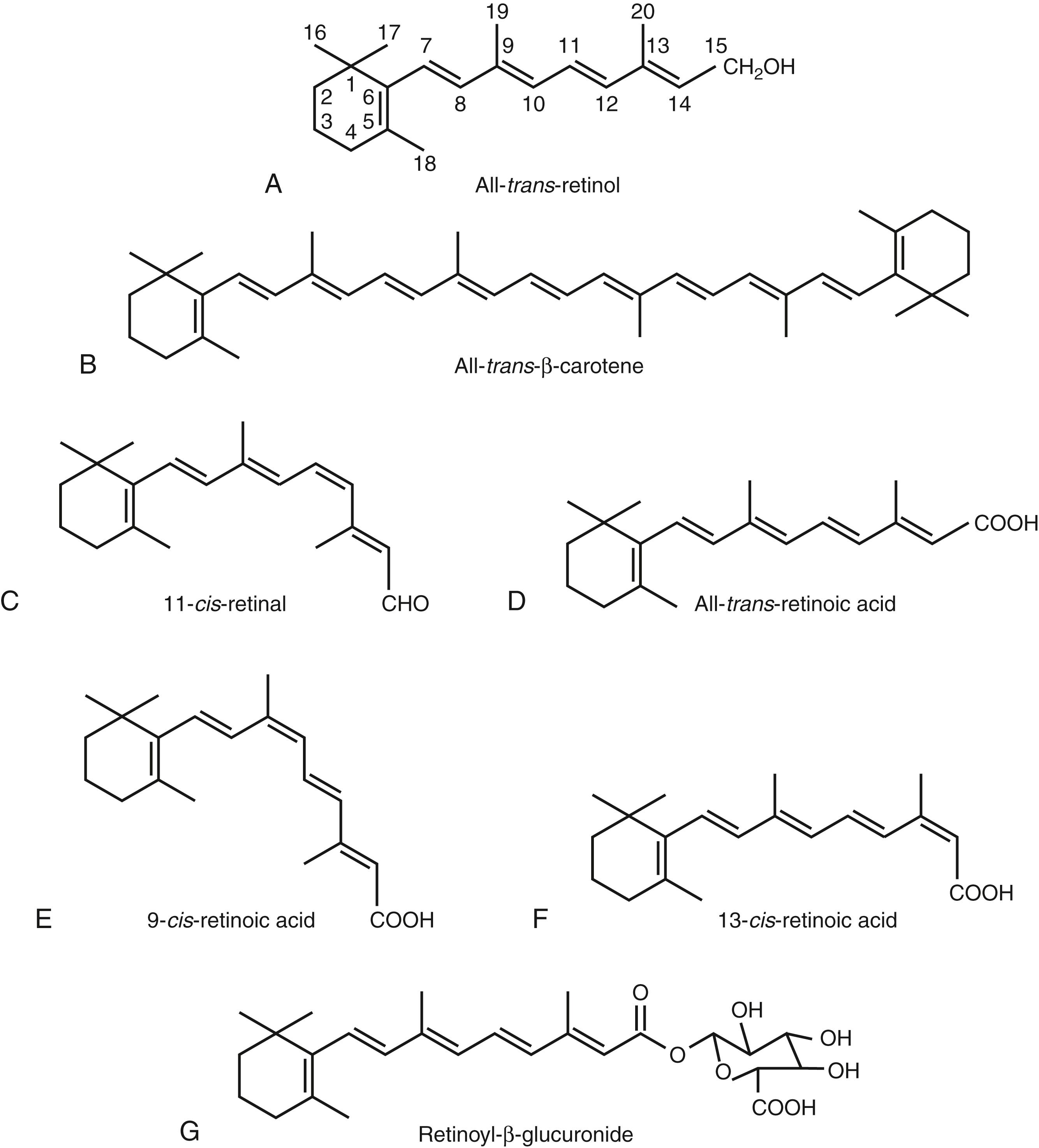 Fig. 28.1, Retinol and metabolites produced during its metabolism.