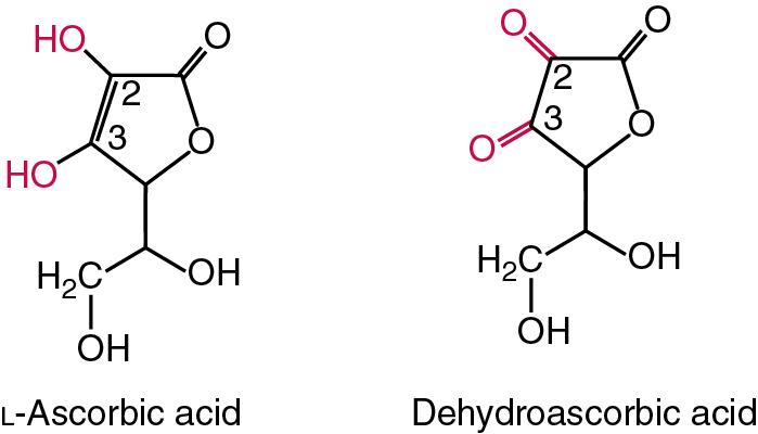 FIGURE 39.20, l -Ascorbic and dehydroascorbic acids.