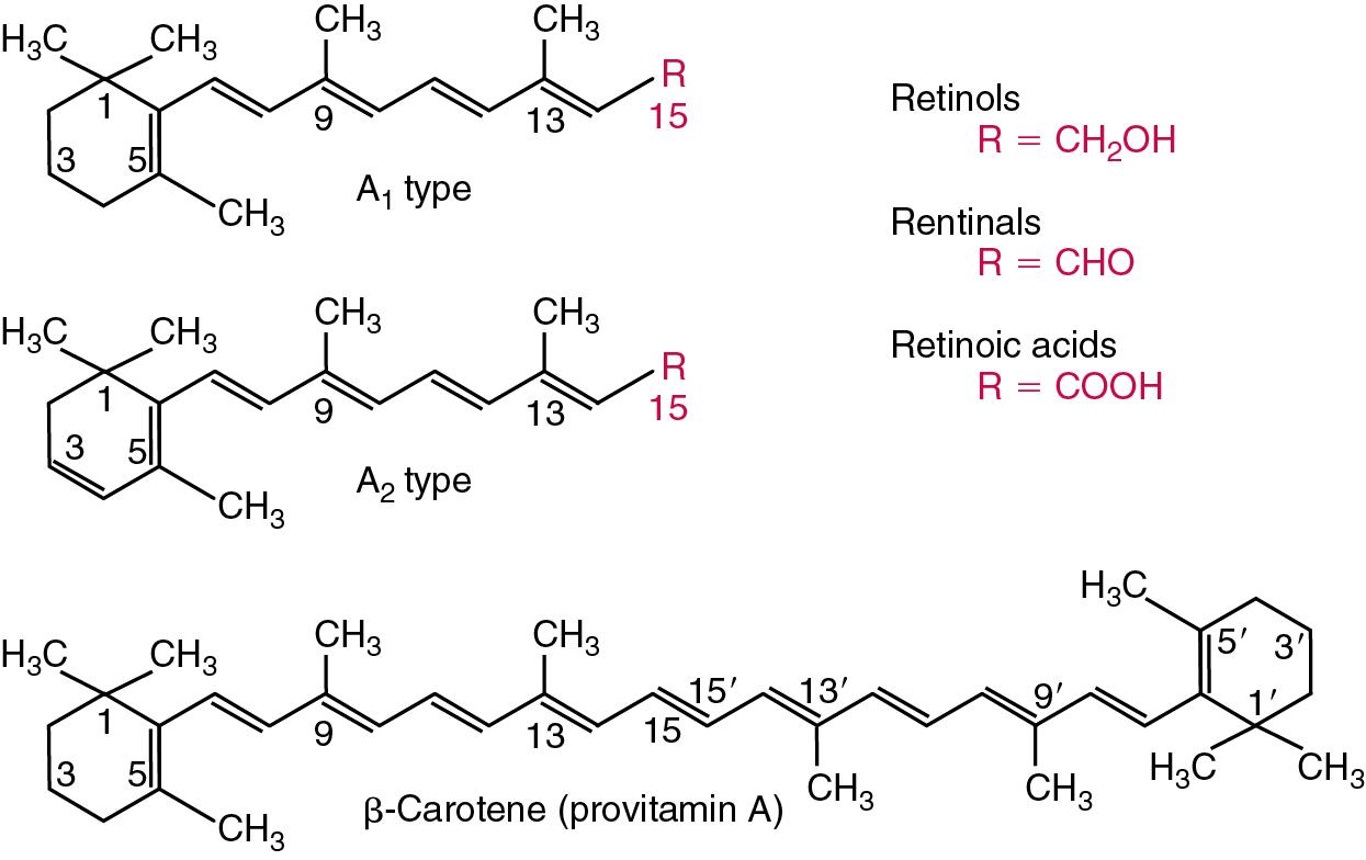 FIGURE 39.2, Vitaminic forms of A 1 , A 2 , and β-carotene.