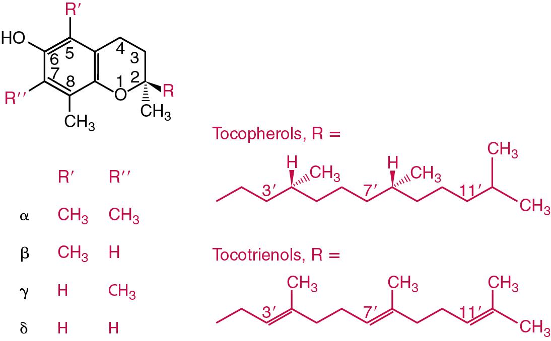 FIGURE 39.4, Vitaminic forms of vitamin E.