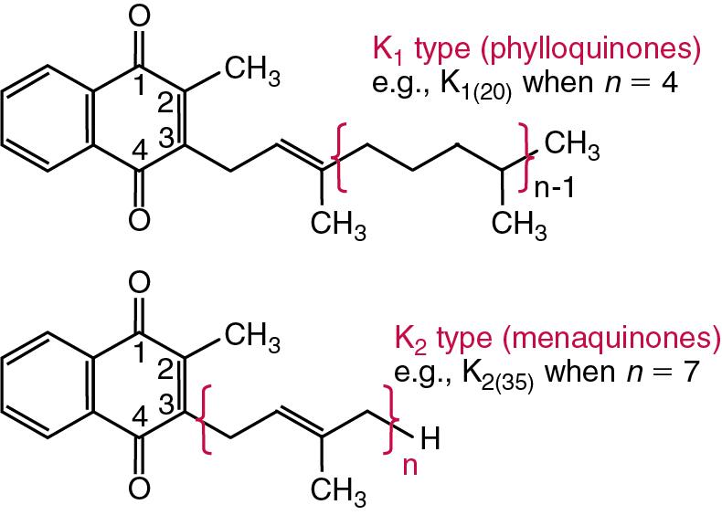 FIGURE 39.6, Vitaminic forms of vitamin K.