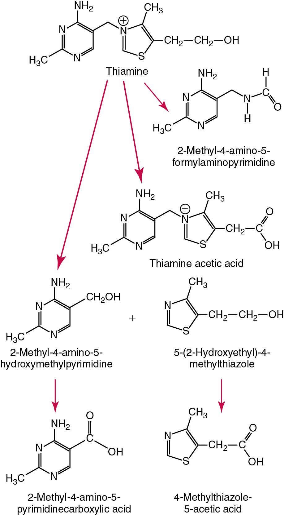 FIGURE 39.9, Principal urinary catabolites of thiamine.