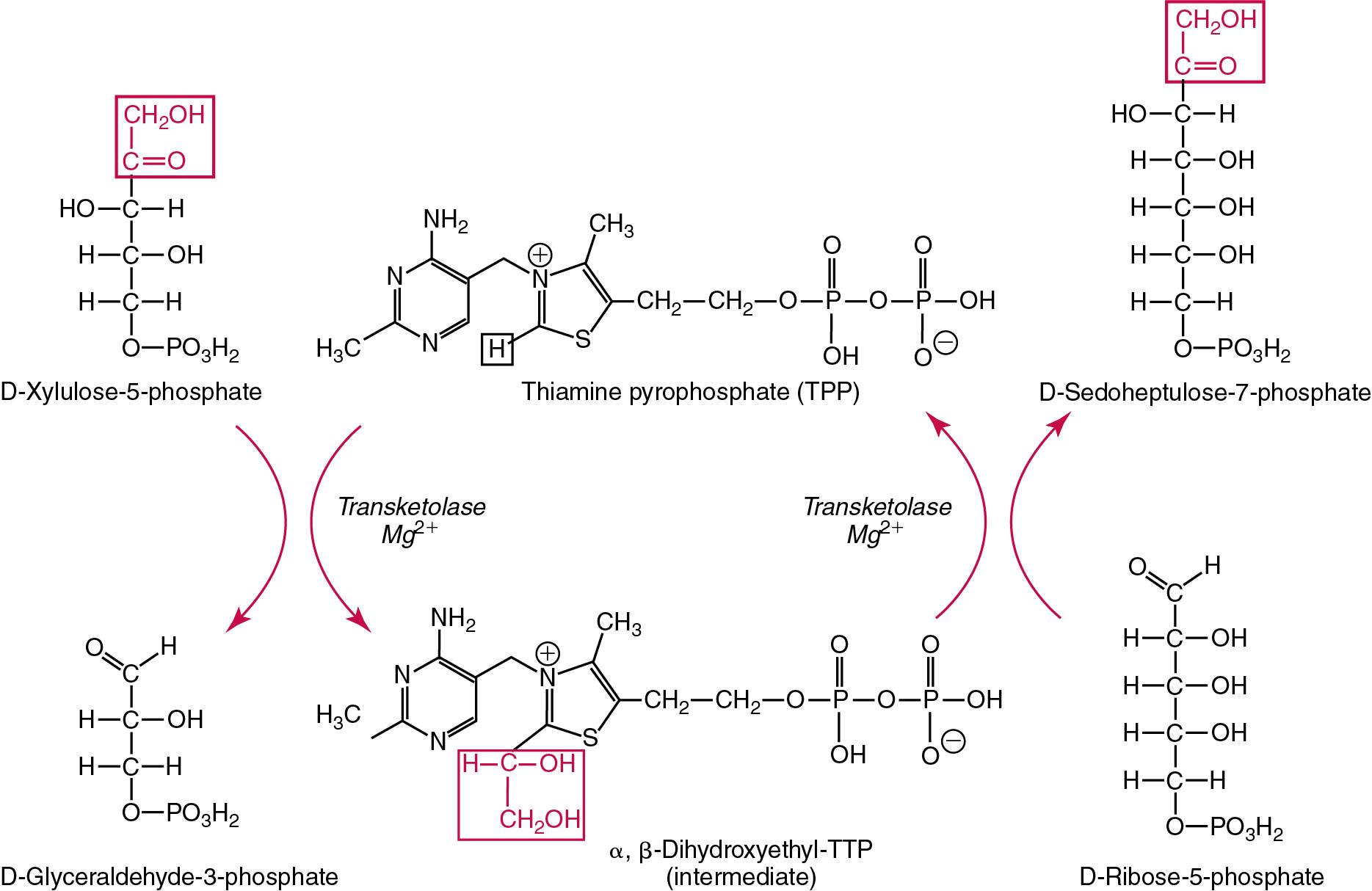 FIGURE 39.10, The transketolase reaction.