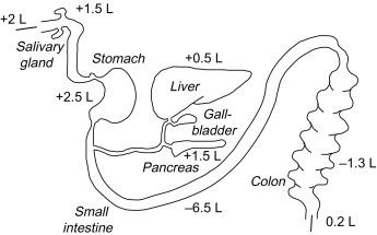 Fig. 55.1, Schematic representation of the GI tract showing daily fluid secretion and absorption in humans.