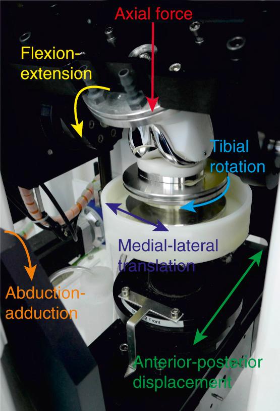 FIG 23.1, Degrees of freedom in a knee wear simulator.