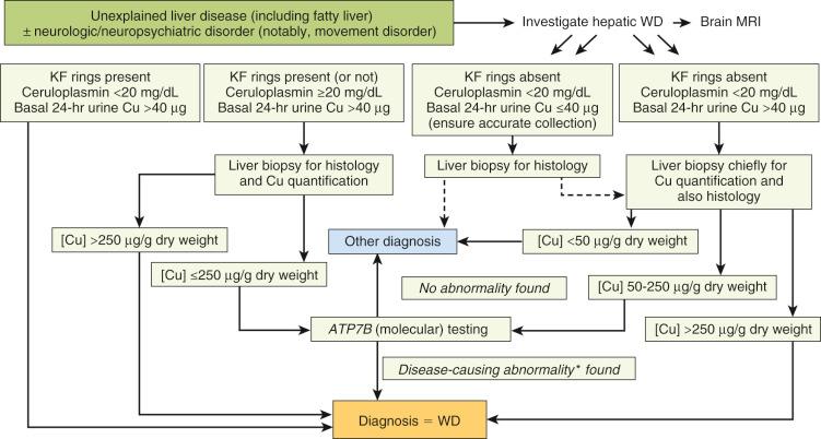 Fig. 59-3, Diagnostic approach for patients (of any age) with unexplained liver disease, with or without neurologic abnormalities typical of Wilson disease.