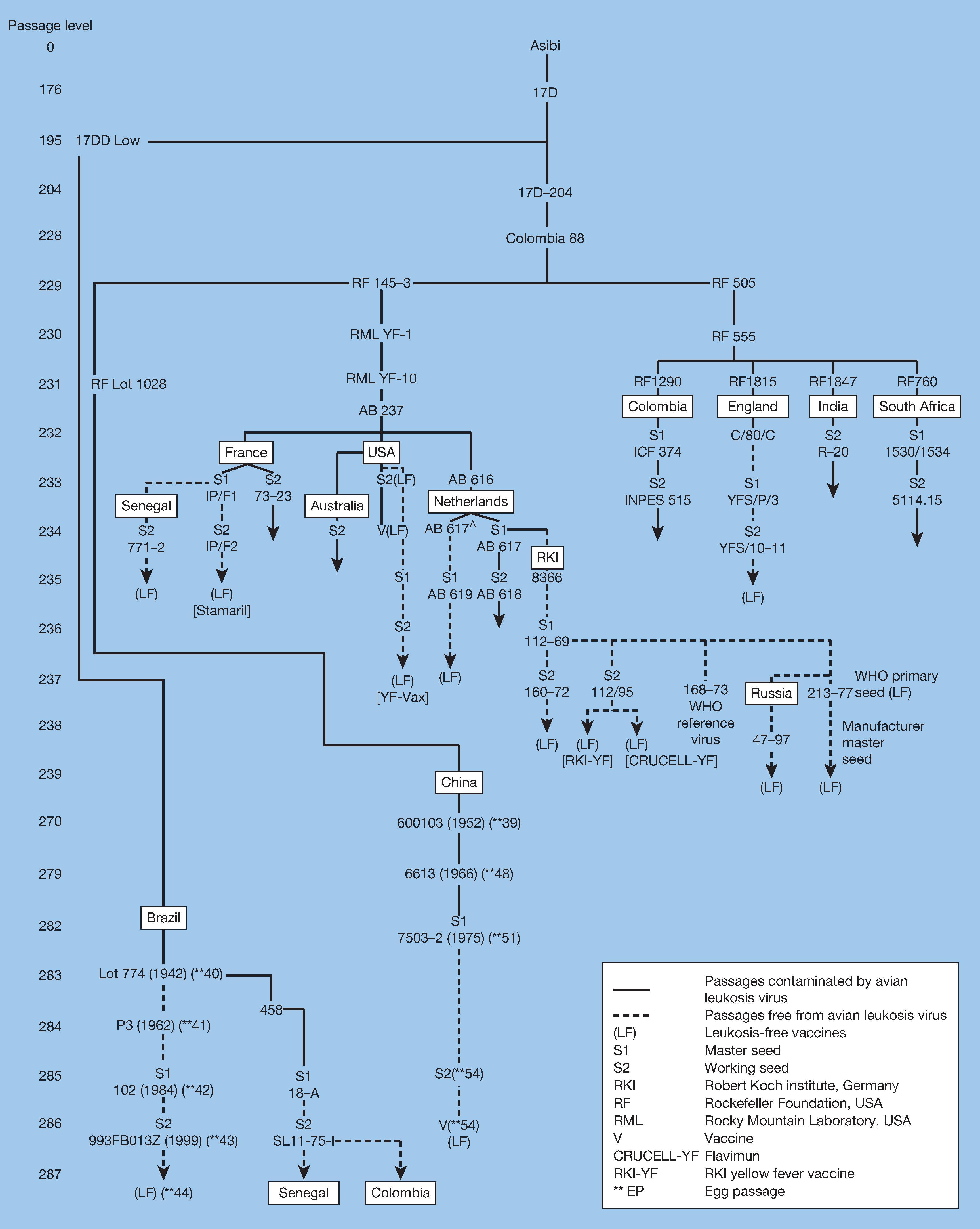 Fig. 64.9, History and genealogy of 17D vaccines and reference viruses.