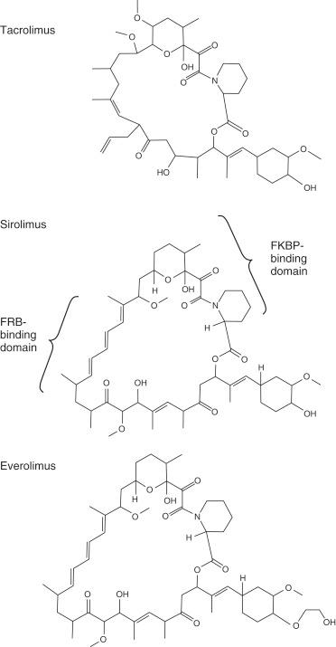 Fig. 18.1, Structure of tacrolimus, sirolimus, and everolimus.