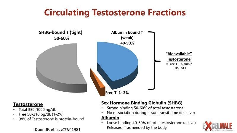 how to increase free testosterone