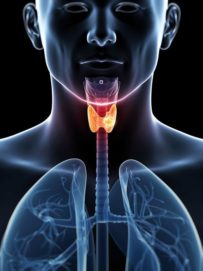 Thyroid Blood Test Fasting