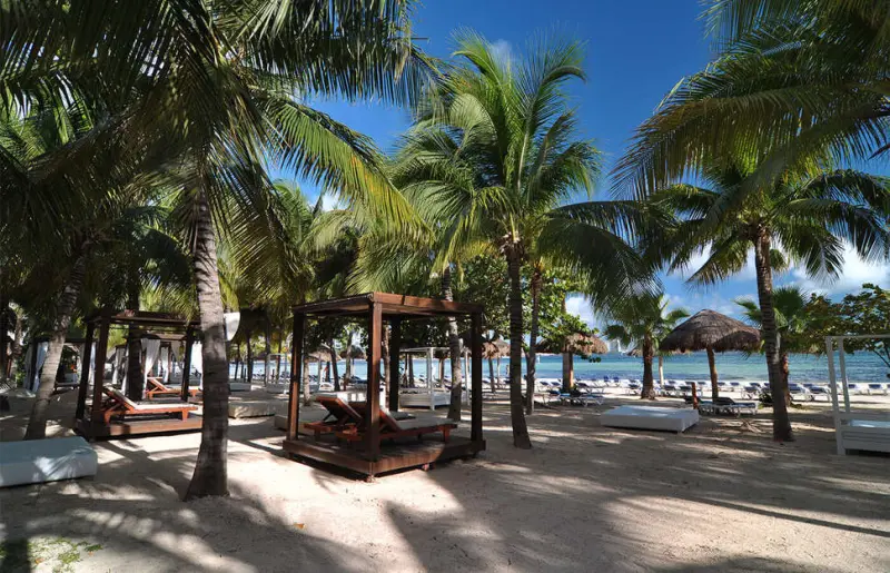 Grand Oasis Palm
