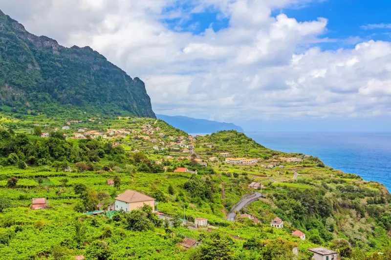 Drive Madeira