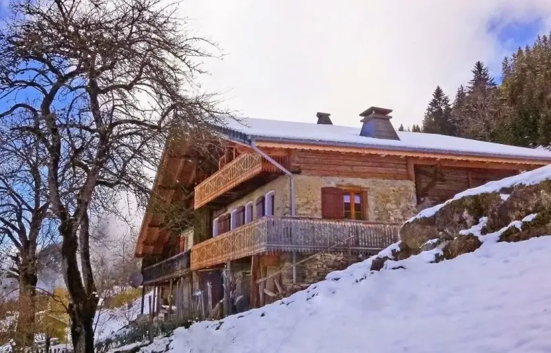Barbossine - Chalet - BO Immobilier - Reduced prices on ski passes Châtel & Portes du Soleil