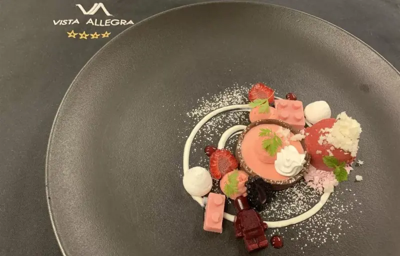 Hotel Vista-Allegra