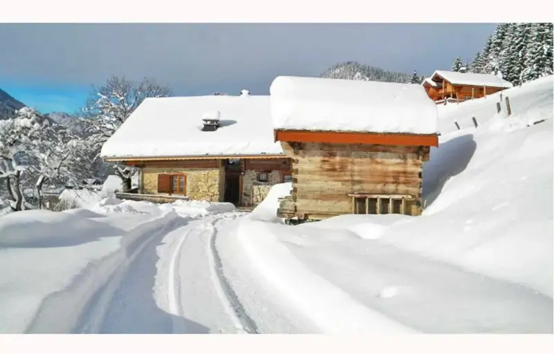 Barbossine - Chalet - BO Immobilier - Reduced prices on ski passes Châtel & Portes du Soleil