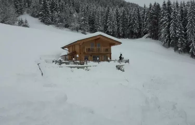 Chalet Bergjuwel