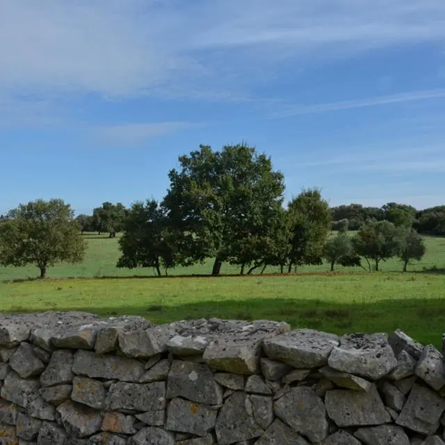 Agriturismo Masseria Tenuta Deserto - Alto Salento