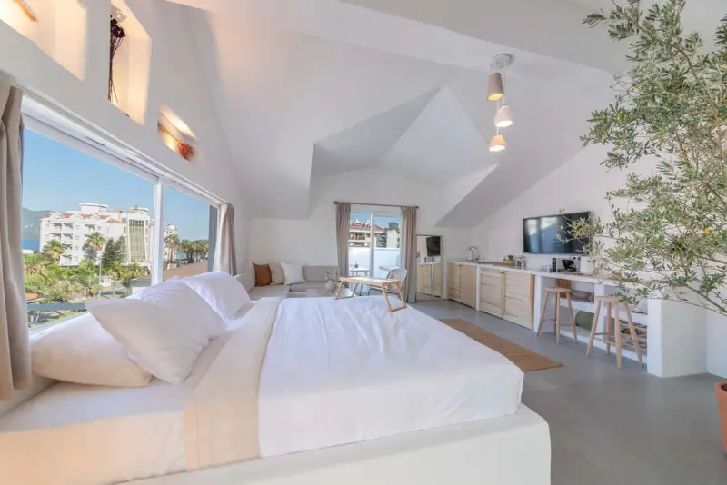 L'olive Homes