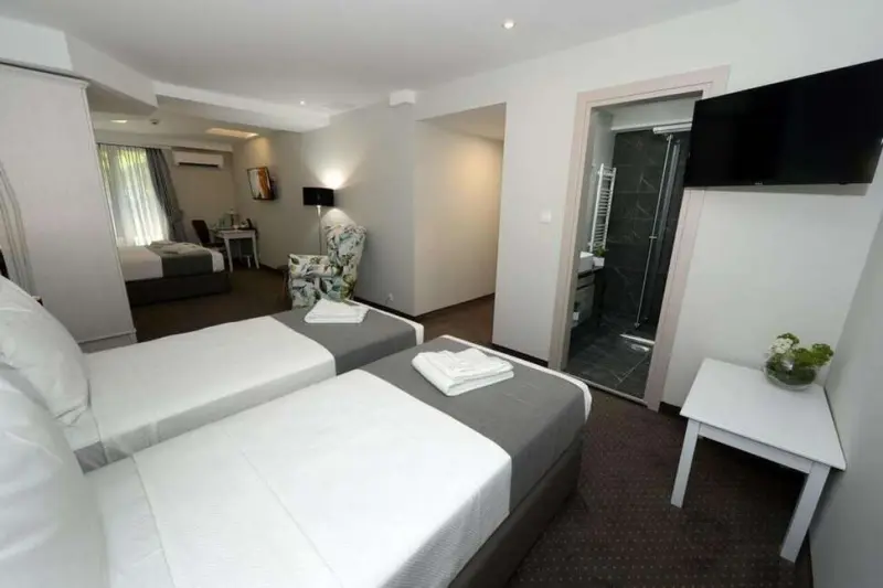 Hotel Alexandar II
