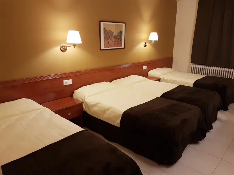 Hotel Guineu