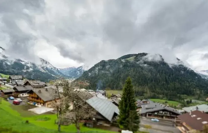 Joyau des neiges - Chalet - BO Immobilier - Châtel Multipass 2025 Activités en Été offert par votre hôte - Chalet