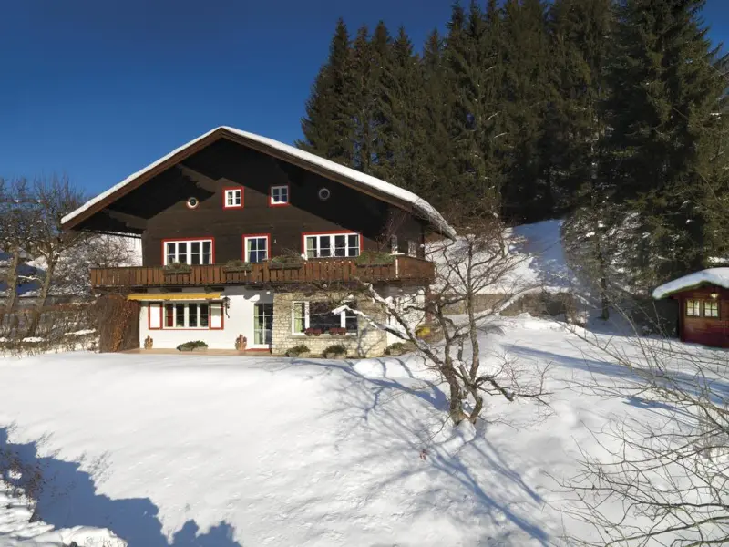 Ferienhaus / Chalet Lerch